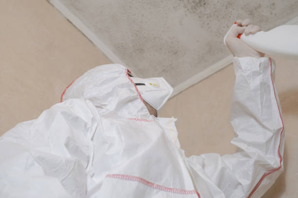 Best Mold Testing  in Yale, OK
